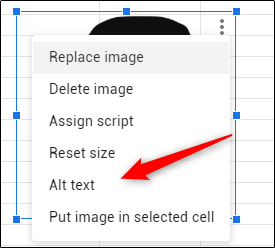 Alt text option in image menu