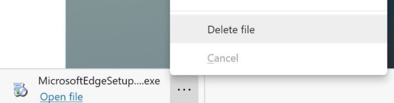 Delete file downloads UI