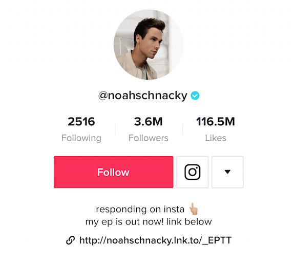 @noahschacky's tiktok bio with emojis and link to his EP