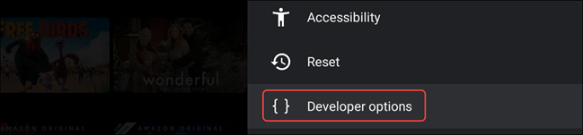 select developer options