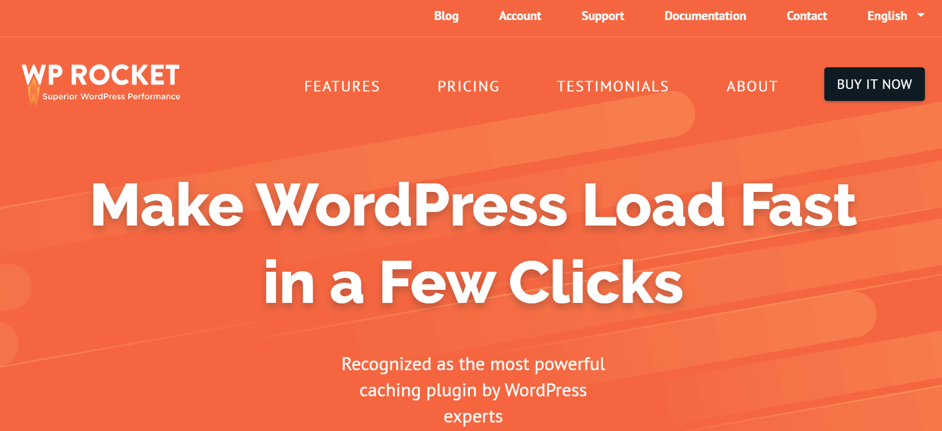 WordPress Plugin WP Rocket Review