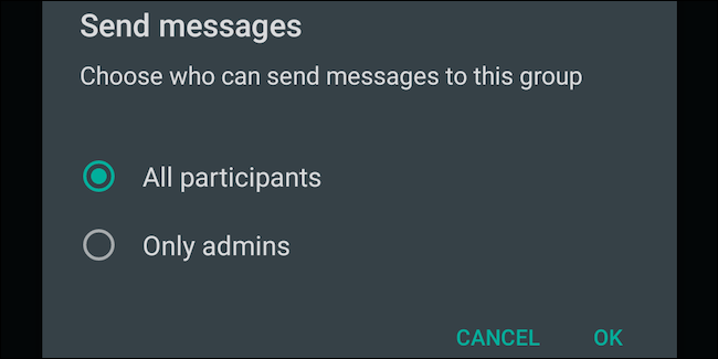 Selecione a configuração de todos os participantes para mensagens de grupo do WhatsApp