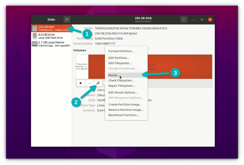 resize disk ubuntu via live session