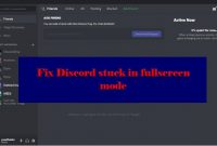 discord-fullscreen-1