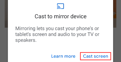 Accept the terms by tapping "Cast Screen"