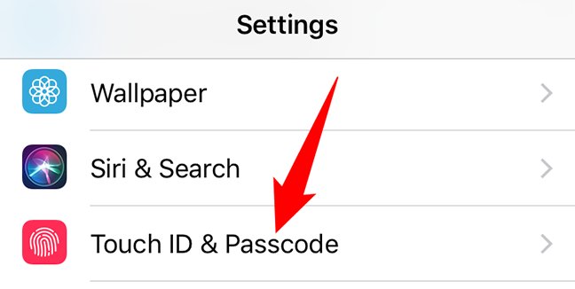 Tap "Touch ID & Passcode" in Settings.
