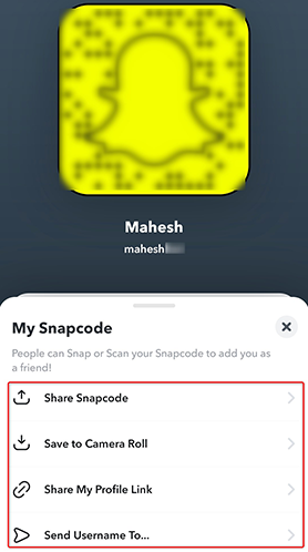 User's own Snapcode.