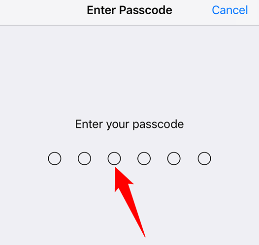Enter the current iPhone passcode.