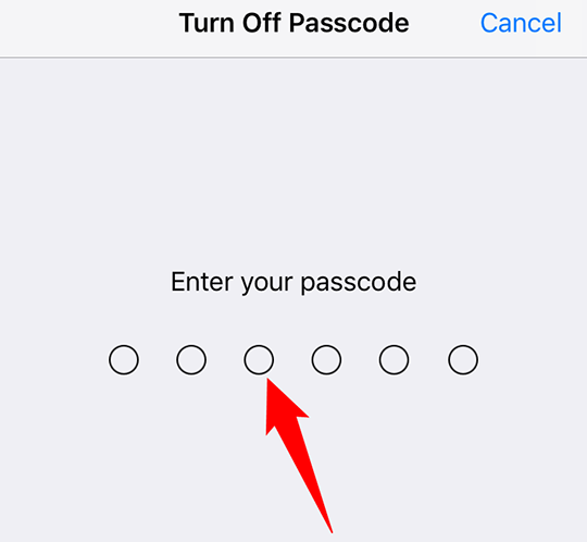 Type the current iPhone passcode.