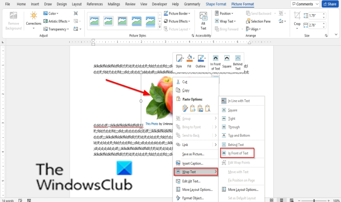 How to move a Picture freely in Microsoft Word