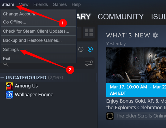 Click "Steam," then click "Settings."