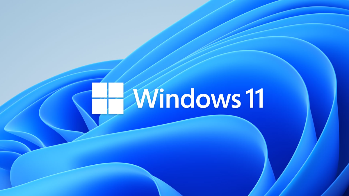 Windows 11 logo on the Windows 11 default wallpaper.