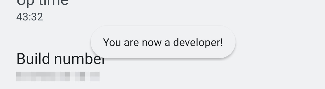 Popup that says "You are now a developer"
