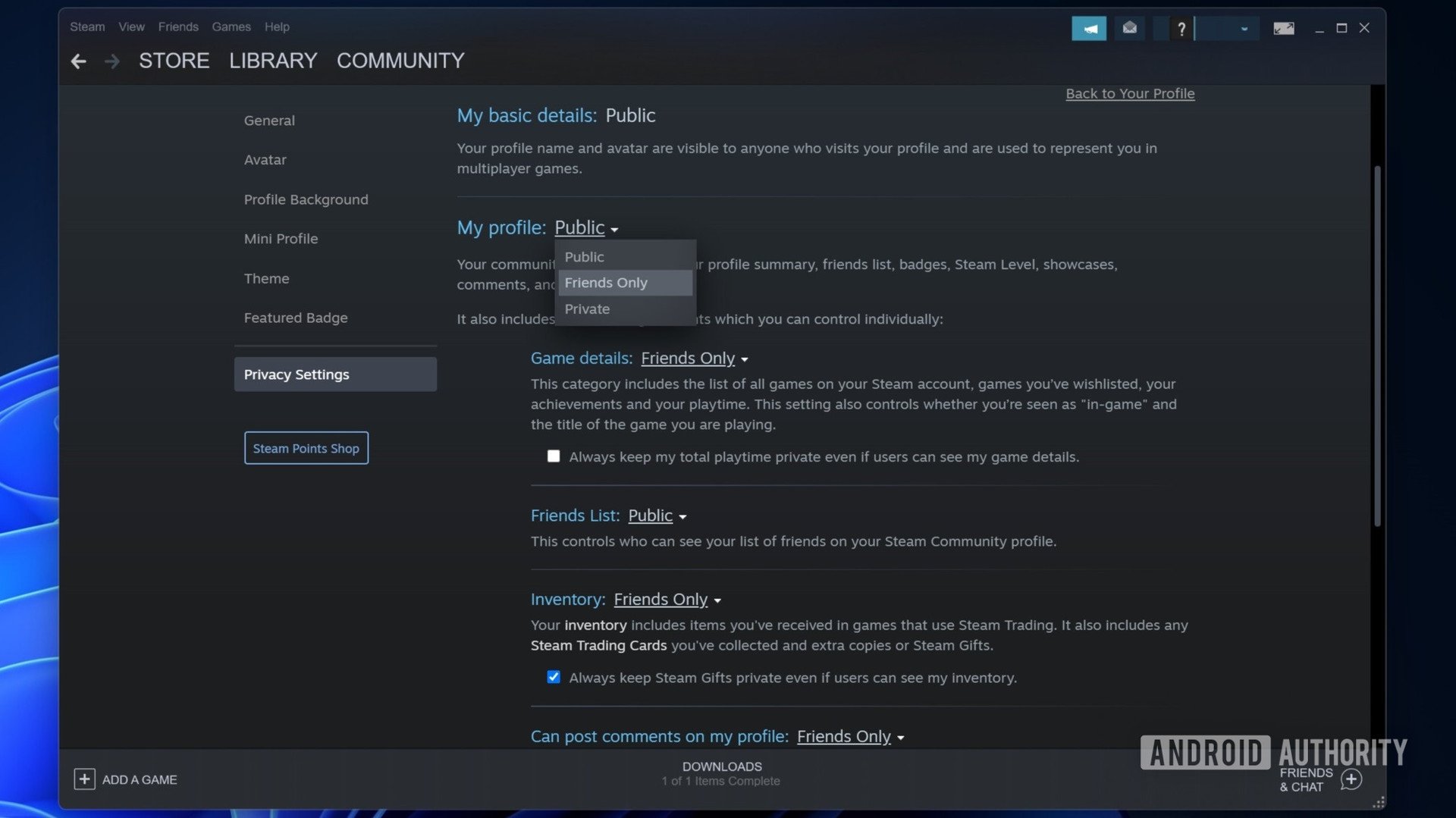 Steam select profile privacy