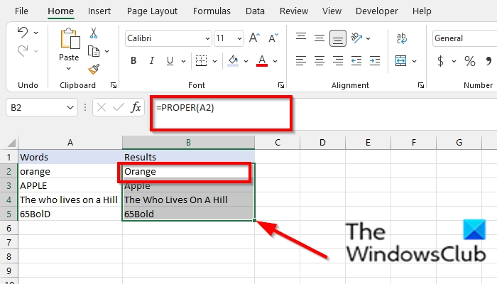 How to use the PROPER function in Excel