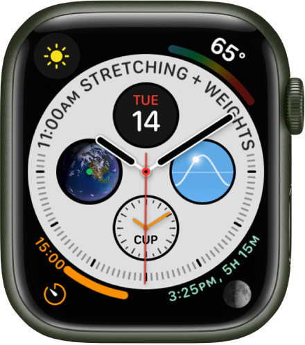 Apple Watch Infograph