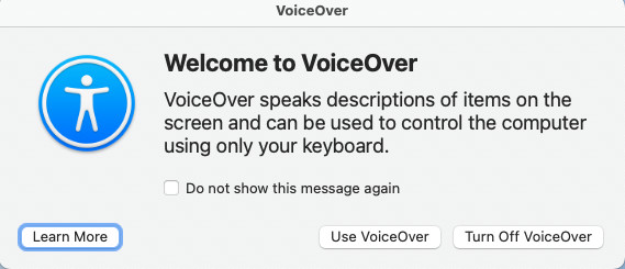 A screenshot of the Welcome to VoiceOver window