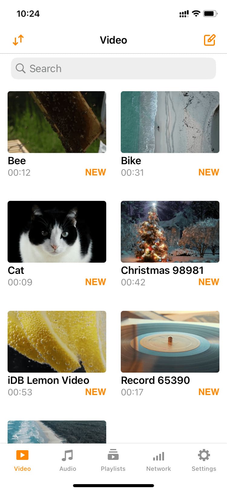 Video files inside the VLC app on iPhone