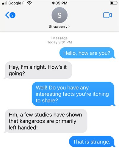 A snippet of an iMessage conversation.