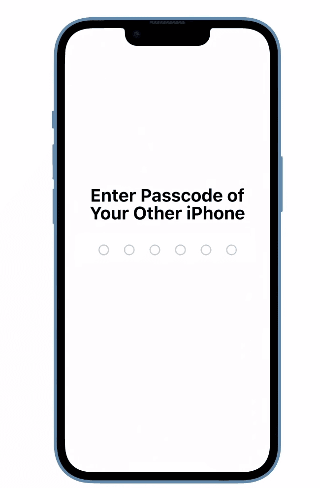 Enter The Passcode