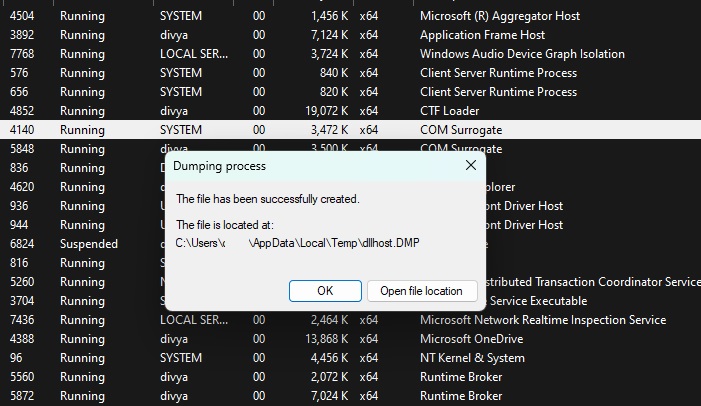 Windows 11 dump file