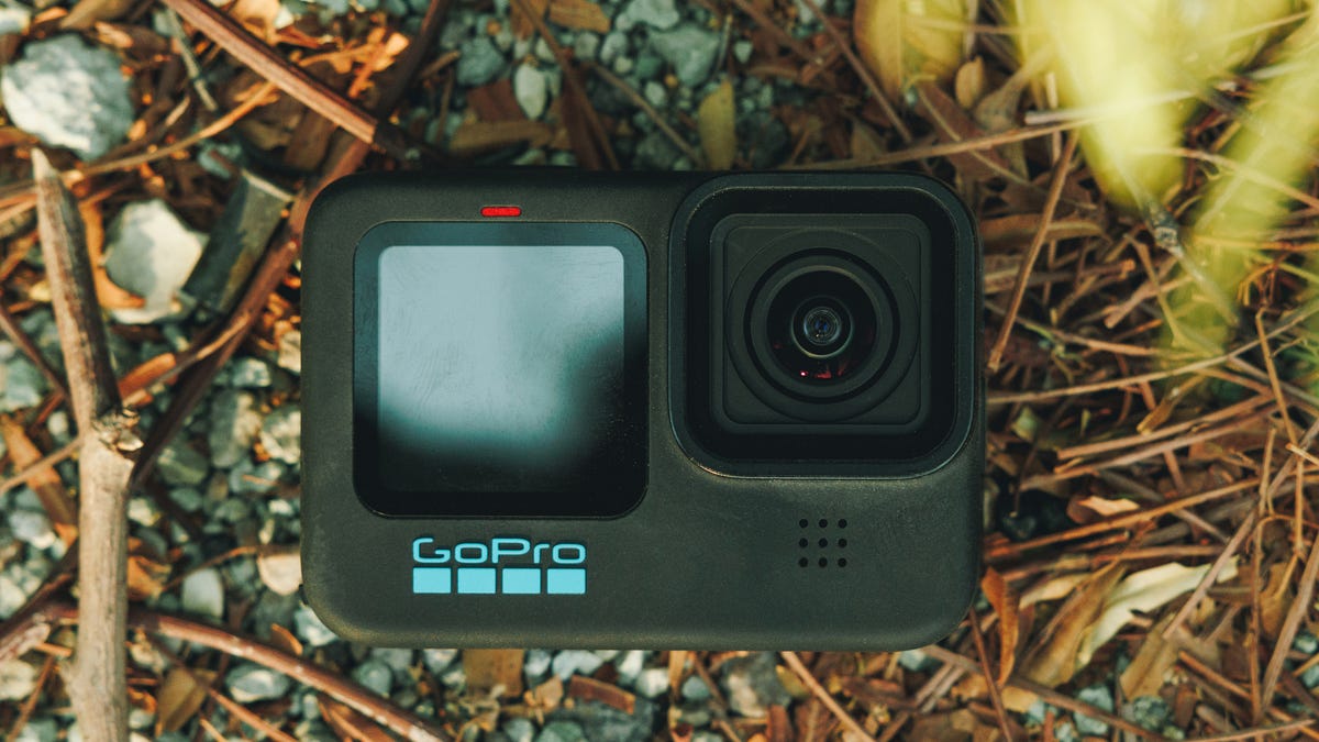 GoPro HERO11 Black mini on the ground surrounded by foilage.