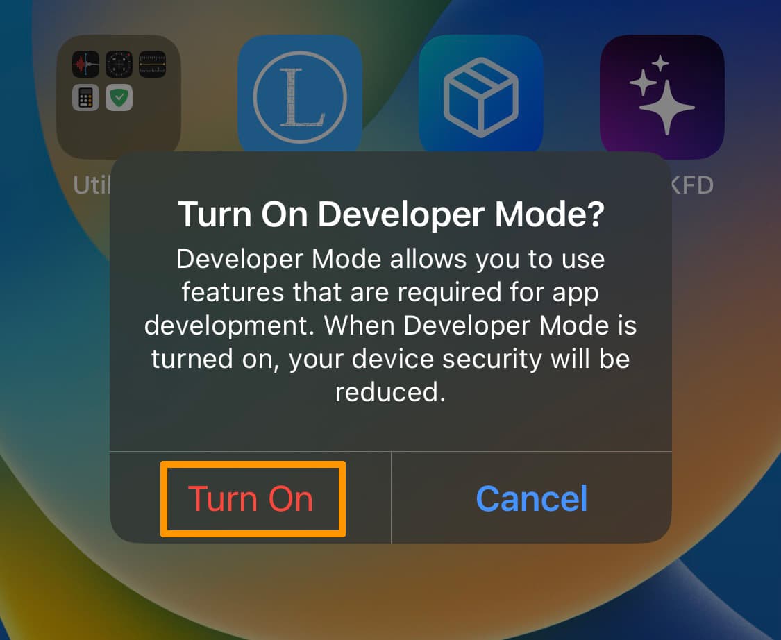 Confirm that you want to enable developer mode on iOS.
